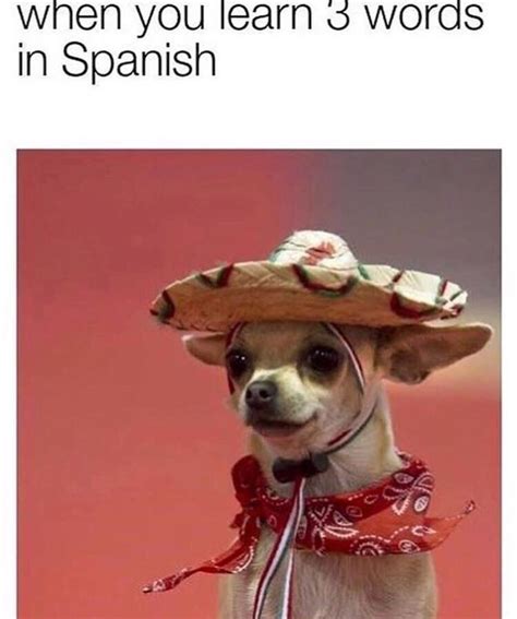 spanish dog meme